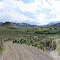 Looking Up Canyon, Alder Creek Ranch, Mackay, Idaho, USA