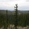 Headwaters of Cape Horn Creek