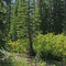 Banner Creek at the north end of the Sawtooth Mountains