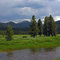 Meadow at Bear Valley/Elk Creek confluence. Salmon River Mountains