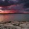 Starvation Sunset
