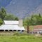 Springville Barns