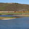 Train Passing Bear River