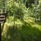 National Forest boundary sign in Wood Canyon
