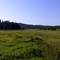 chamberlin creek 033