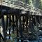 old trestle of the P&IN