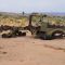 Half Track Relic