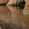 raindrops and reflections