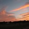 Summer evening sky over farmhouse