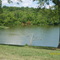 Rio Cumberland Gallatin Tn