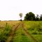 Hendersonville, tn. drakes creek rd. farm