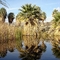 Palm Springs