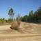 Sandblast Rally 09