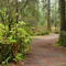 Mora Campground Loop(A) East