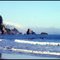 Olympic Coast