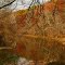 Darby Creek Metro Park