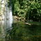 Swimming in the Creek