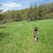 Hiking @ Flandrau SP