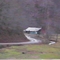 Old Farm