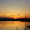 Sunset at the Horicon Marsh