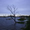Horicon Marsh at dusk