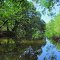 Creek at Mary Moore Searight Park