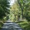 Country road