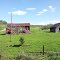 Old Barns