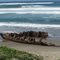 Sibyl Marston Shipwreck 1909