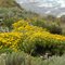 Seaside of Pacific-3