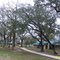 Rest Area at Treasure Oaks, US59
