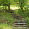 Stairway in the woods on Possum Holler Road.,