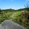Along the Virginia Creeper Trail