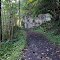 Along the Virginia Creeper Trail