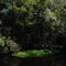Hillsborough river