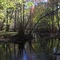 Hillsborough River at Morris Bridge Park