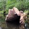 Fallen Hollow Log In River