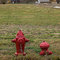 Maeser Hydrant brothers
