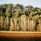 Missouri Valley Foliage