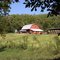Barn with cows and hay