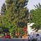 Visalia CA / on the road to Sequoia Nat.Park