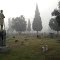 Cemetery in fog, Christmas Day