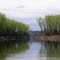 Gunderson Backwater