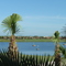 Golf Course View Venice