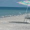 Seagull sunbathers