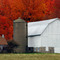 Fall's Glory