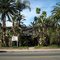 Dolores Palms