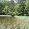 Badin Lake