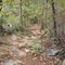 rocky trail