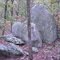forest rocks